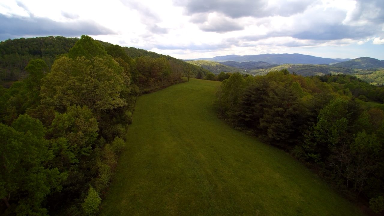 29+ acre Mountain Getaway in the Blue Ridge Mountains! Collins