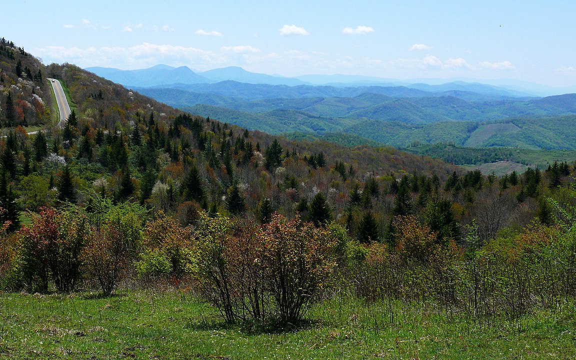 Buyer's Guide for Appalachian Mountain Homes Grayson County, VA
